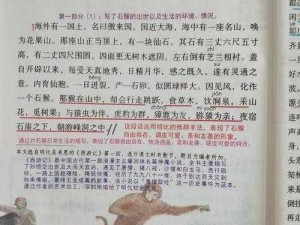 猴王问世：详细安装指南及配置说明手册