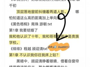 无人区玫瑰无心谈笑 TXT系列，带你领略不一样的阅读体验