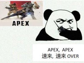 Apex稀有包与组合包差异性解析：内涵、特点及选用指南