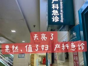 法国妇科急诊室;法国妇科急诊室：女性健康的守护者