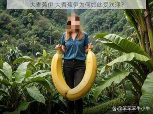 大香蕉伊 大香蕉伊为何如此受欢迎？