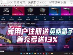 csgo 白嫖网站，免费畅玩 csgo，尽享游戏乐趣