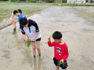 情侣之间插秧的图片;插秧时节，情侣携手共赴农田，感受田园生活的浪漫