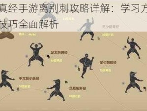 九阴真经手游离别刺攻略详解：学习方法与招式技巧全面解析