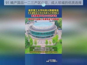 91 精产国品一二三产区公司，成人领域的优质选择