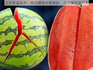 古代瓜农致富秘术：种瓜赚钱攻略揭秘，瓜农赚钱技巧大公开