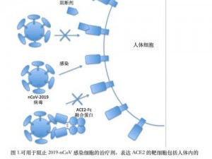 冰原守卫者中炸弹的战略运用与效果解析