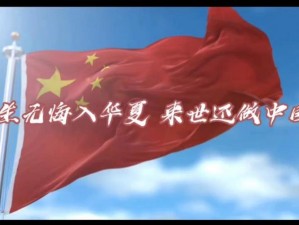 无悔华夏抉择：增加兵力投入，共筑盛世辉煌