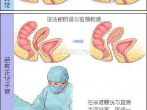 直人实女处被破www视频-直人实女处被破全过程视频