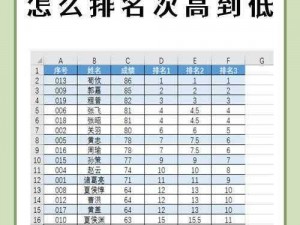 排名系统详解：如何科学有效地进行rank排名操作