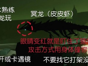 光遇皮皮虾应对攻略大全：躲避技巧与失落光翼寻回指南