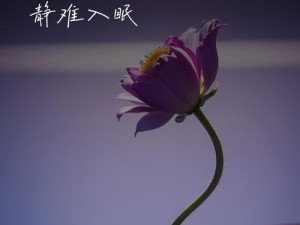 今夜无眠难入睡(今夜无眠难入睡，辗转反侧思万千)