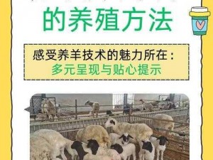 养羊致富秘诀：实用技巧揭秘，提升羊群繁殖与饲养管理效率