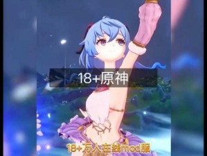 18+原神安装包 原神 18+安装包下载