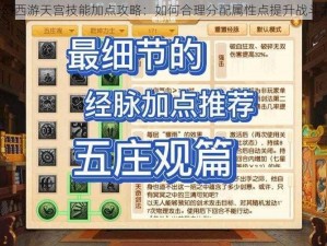 梦幻西游天宫技能加点攻略：如何合理分配属性点提升战斗力？