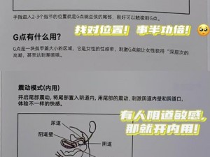 膀胱海绵控制改造野兔的锁骨,如何通过膀胱海绵控制改造野兔的锁骨？