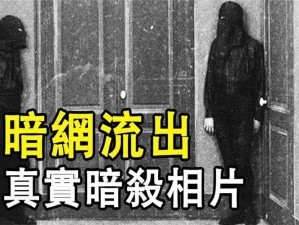 黑幕网,黑幕网：揭开神秘面纱，探寻背后真相