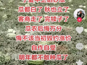 黑料吃瓜网在线进入首页——专注实时热点，提供全面、客观、深入的资讯解读