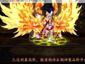 深度揭秘：格斗江湖神翼获取之道——全面大盘点神翼材料与策略