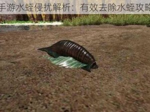 方舟手游水蛭侵扰解析：有效去除水蛭攻略分享