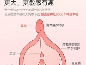 享受极致私密体验的成人应用