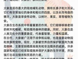 住客大人的心愿：大象如何精准选择住客的心愿之旅介绍