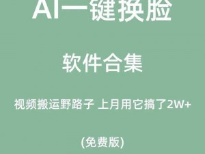 一款基于 AI 的视频人脸实时替换工具