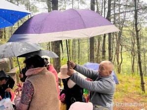 王伟忠周莹回乡扫墓后续,王伟忠周莹回乡扫墓后续：后人齐聚场面感人