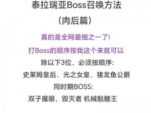 泰拉瑞亚普兰黛拉Boss召唤技巧详解指南：掌握召唤策略，轻松击败普兰黛拉Boss攻略秘籍