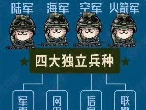 全球战略协同：多元兵种最强搭配行动计划