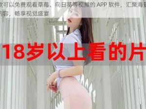 一款可以免费观看草莓、向日葵等视频的 APP 软件，汇聚海量精彩内容，畅享视觉盛宴