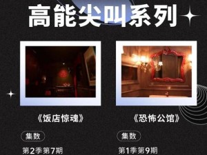 廉租公寓神秘密室大逃脱：租户上演现实版解谜之旅