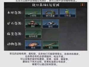 明日之后庄园全方位防御措施详解：庄园防御策略汇总与应对指南