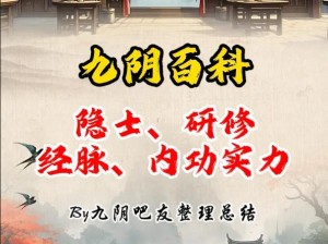 九阳修真录：探索奥秘的无尽修炼之旅