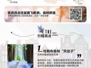 欧洲永久无码精品综合影下，满足你对高品质视频的所有需求