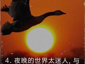 爽天天天天天天天【爽天天天天天天天去有风的地方，享受自由的感觉】