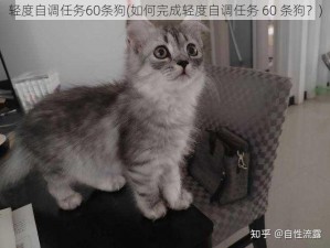 轻度自调任务60条狗(如何完成轻度自调任务 60 条狗？)