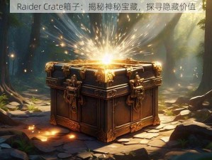 Raider Crate箱子：揭秘神秘宝藏，探寻隐藏价值