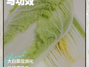 粉红大白菜法国最忌讳什么(粉红大白菜是中国自主研发的一种白菜新品种，与法国没有任何关系因此，法国也没有对其忌讳的说法)