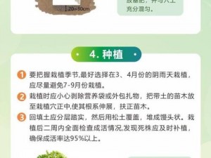 老农种树道具获取攻略：揭秘道具来源，助力绿意盎然建设