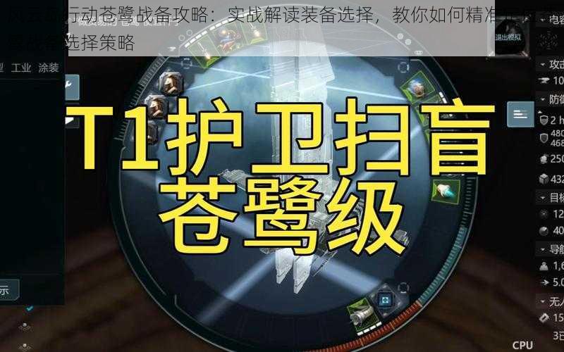 风云岛行动苍鹭战备攻略：实战解读装备选择，教你如何精准定位苍鹭战备选择策略