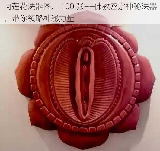 肉莲花法器图片 100 张——佛教密宗神秘法器，带你领略神秘力量