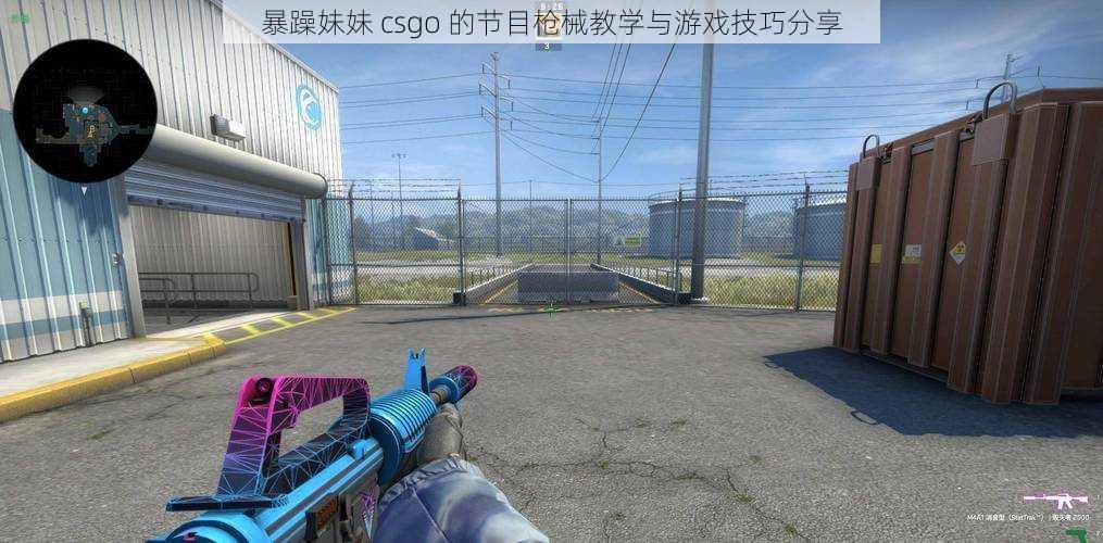 暴躁妹妹 csgo 的节目枪械教学与游戏技巧分享