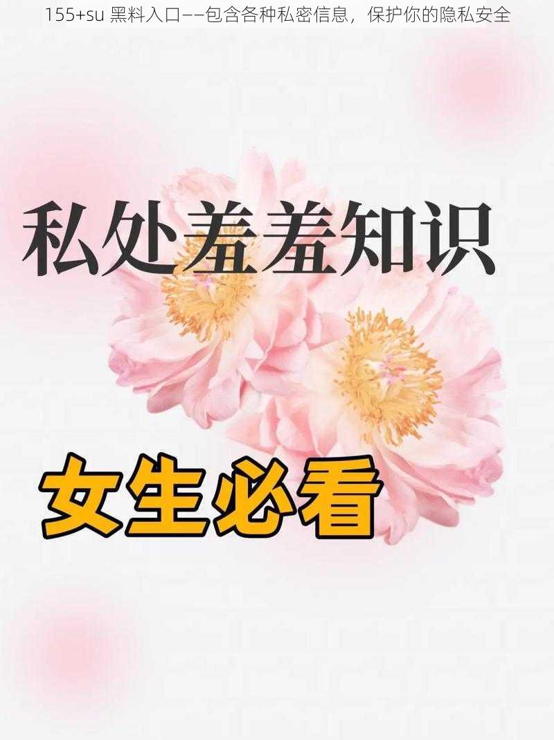 155+su 黑料入口——包含各种私密信息，保护你的隐私安全