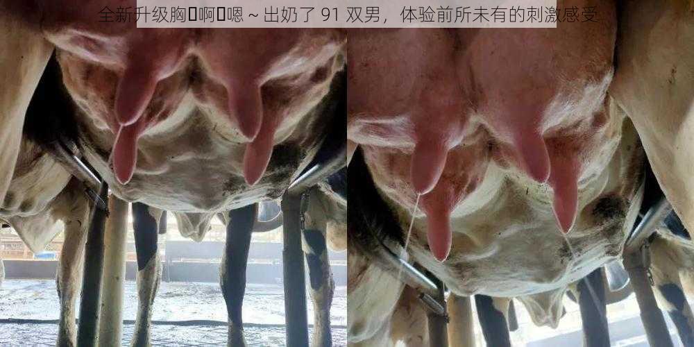 全新升级胸⋯啊⋯嗯～出奶了 91 双男，体验前所未有的刺激感受