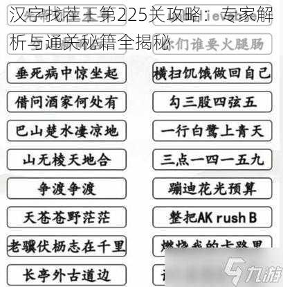 汉字找茬王第225关攻略：专家解析与通关秘籍全揭秘