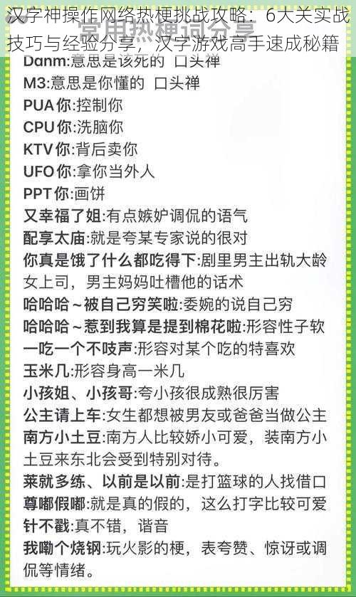 汉字神操作网络热梗挑战攻略：6大关实战技巧与经验分享，汉字游戏高手速成秘籍