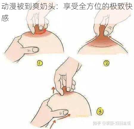 动漫被到爽奶头：享受全方位的极致快感