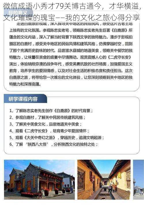 微信成语小秀才79关博古通今，才华横溢，文化璀璨的瑰宝——我的文化之旅心得分享