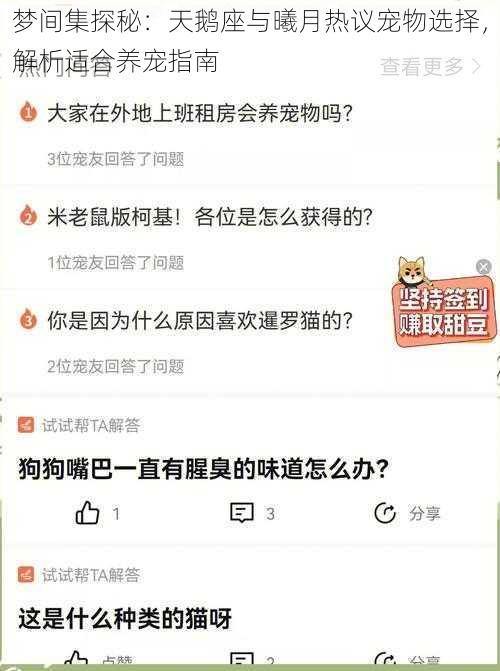 梦间集探秘：天鹅座与曦月热议宠物选择，解析适合养宠指南